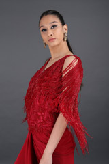 Tassel Saree GownIMG_8457