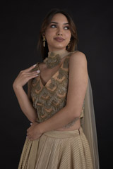 Golden Tasseled Lehenga Set_DTR8987