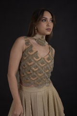 Golden Tasseled Lehenga Set_DTR8988