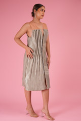 Silver Chord DressDSC02529