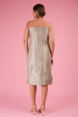 Silver Chord DressDSC02531