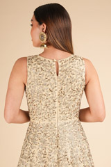 Beige Jaal Embroidered GownDSC01960