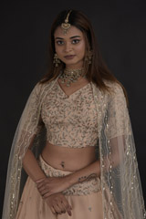 Beige Butis Lehenga_DTR0004