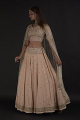 Beige Butis Lehenga_DTR0007