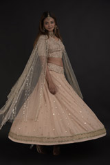 Beige Butis Lehenga_DTR0008