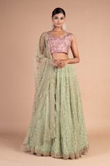 Jaal Lehenga with Star ButisDSC07476