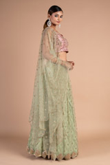 Jaal Lehenga with Star ButisDSC07481