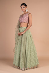 Jaal Lehenga with Star ButisDSC07487
