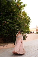 Vintage Pink Net Creeper LehengaDSC05784