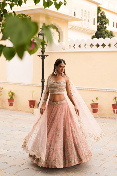 Vintage Pink Net Creeper Lehenga