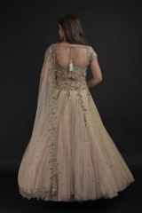 Ivory Sequins Embellished Lehenga Set_DTR1120