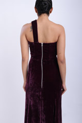 Velvet GownIMG_7949